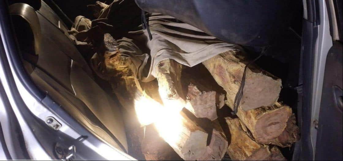 पकड़ी गई खैर की लकड़ी से भरी स्विफ्ट कार। विभाग