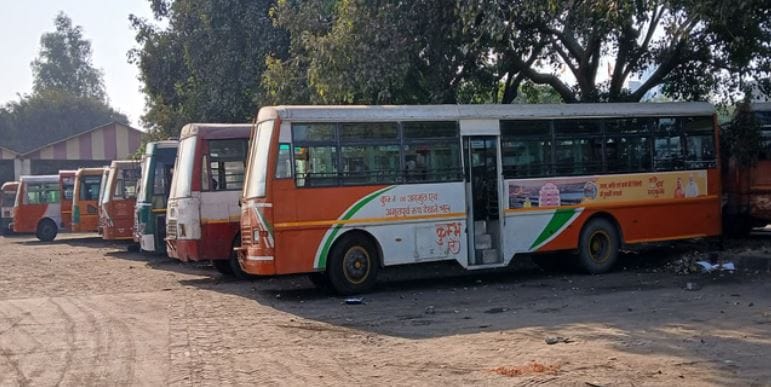 From the new year, buses will run on 19 routes, and the fares will also be reduced.