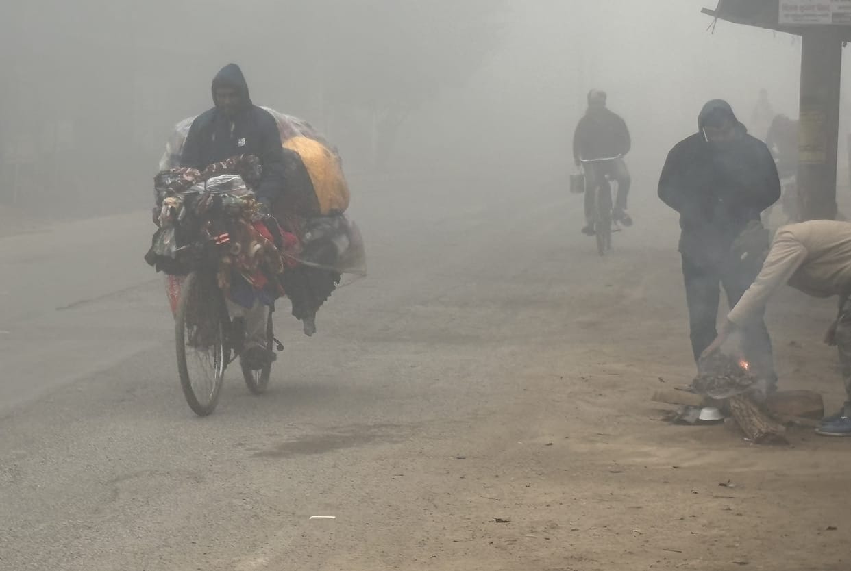 The west wind blew at a speed of 11 km/h, and sunshine appeared for two hours