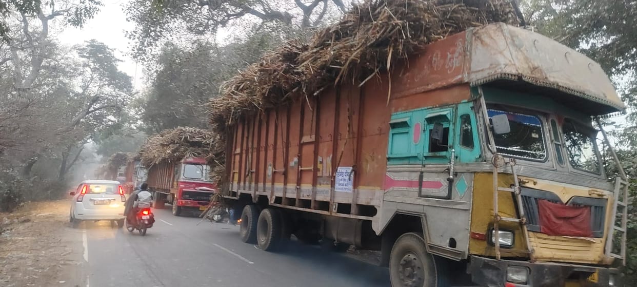 Arbitrariness of truck drivers carrying sugarcane at Bhuni intersection