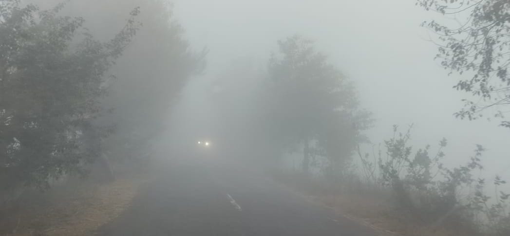 The cold wave brought freezing temperatures, and there was no relief from the fog... visibility was just 5 meters.