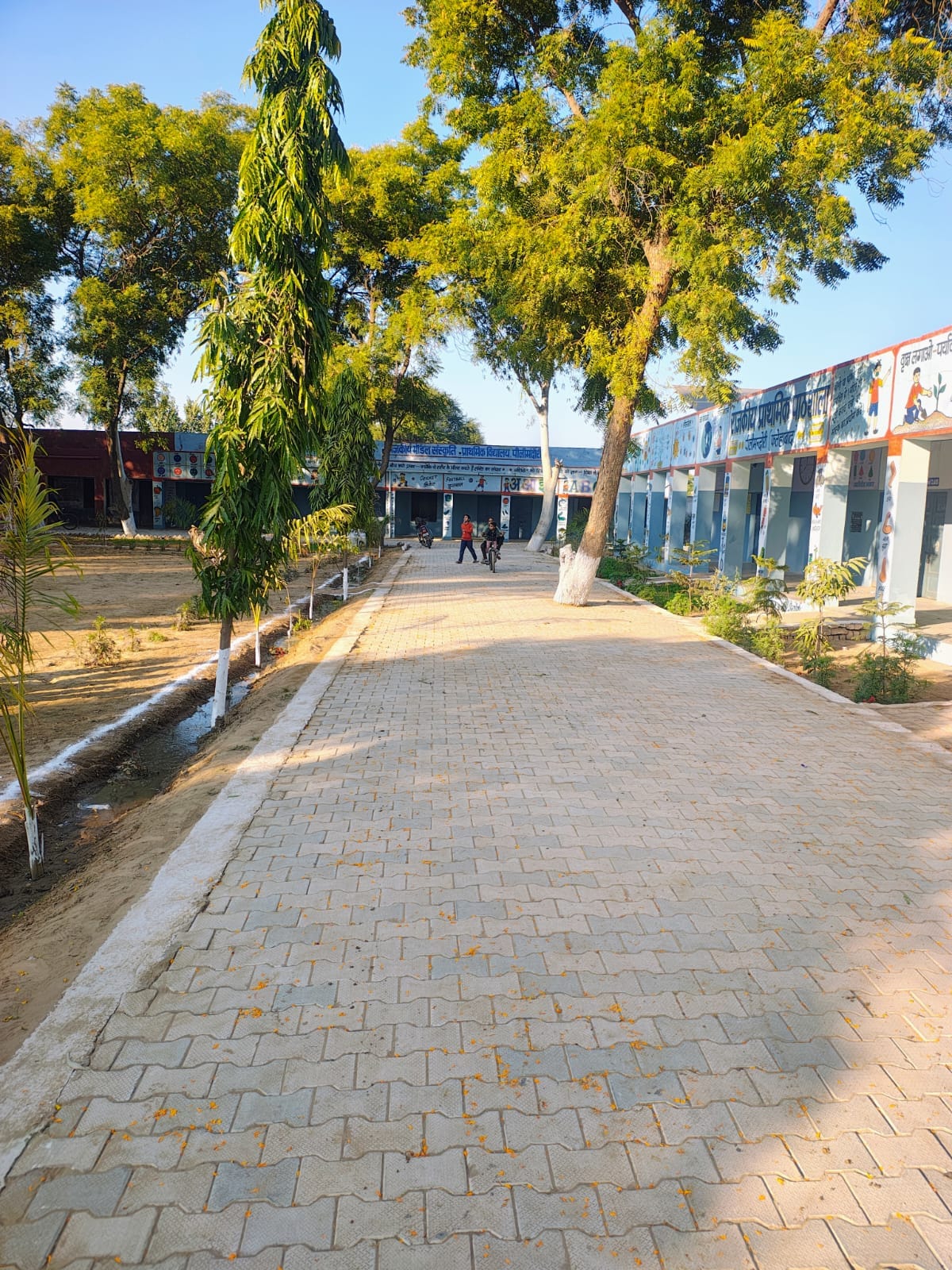 The most beautiful schools are Pilimandori in primary, Sulikheda in middle, Daiyad in high and Kirdhan in senior secondary