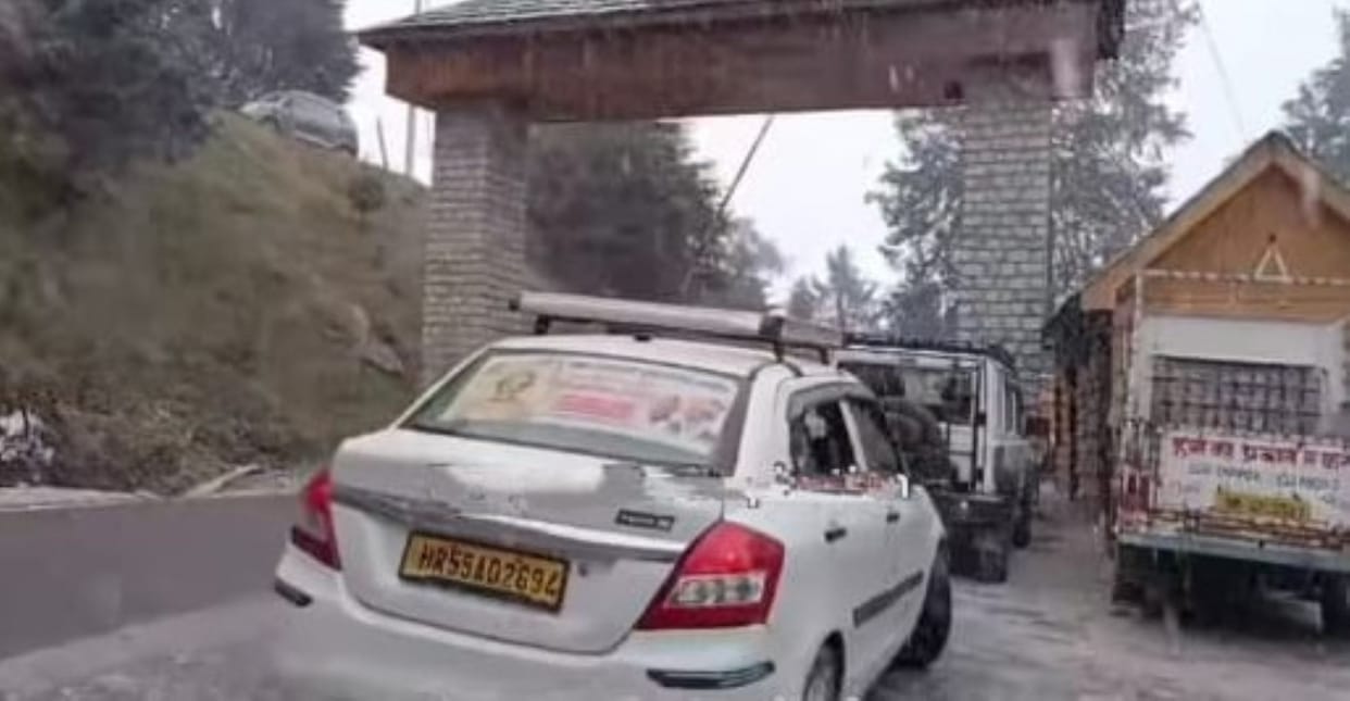 Tourists rejoice at the sight of falling snow