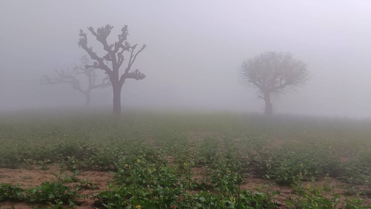 Rain brought relief to crops, showers increased the chill