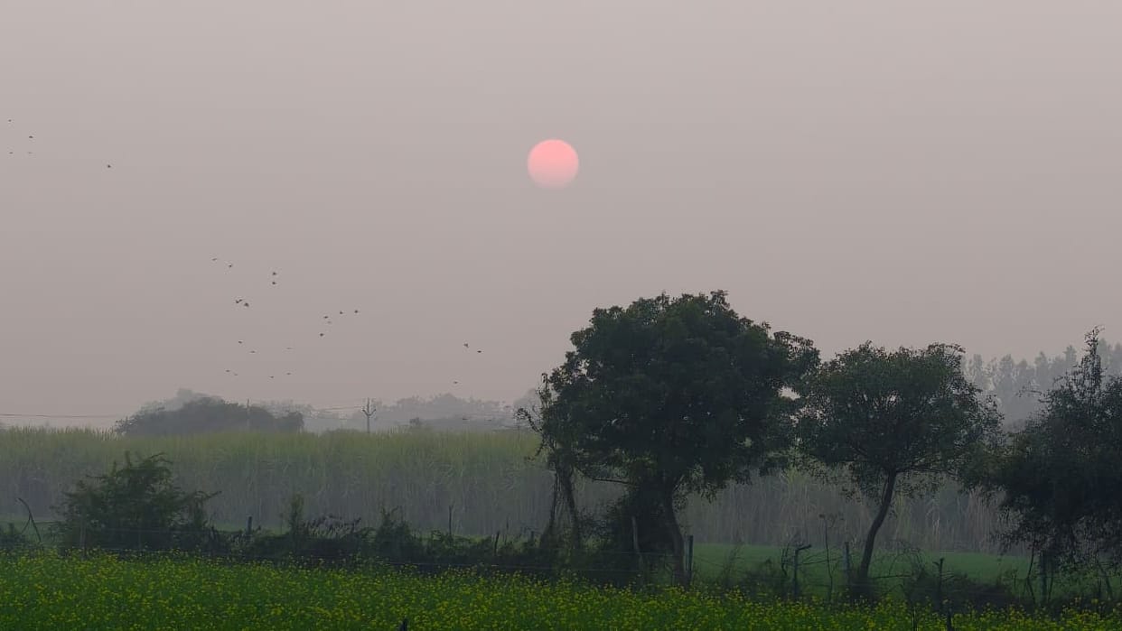 The minimum temperature in Rohtak was 10 degrees Celsius, with light drizzle; the air quality index was record