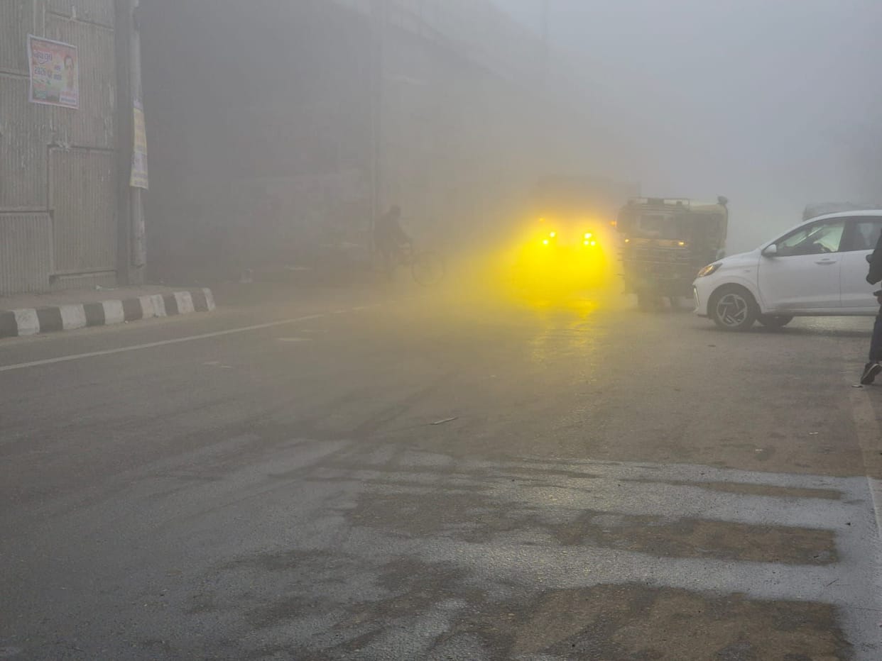 Cold Day: The fog that had settled overnight cleared at 11 AM, and the sun remained hidden throughout the day.