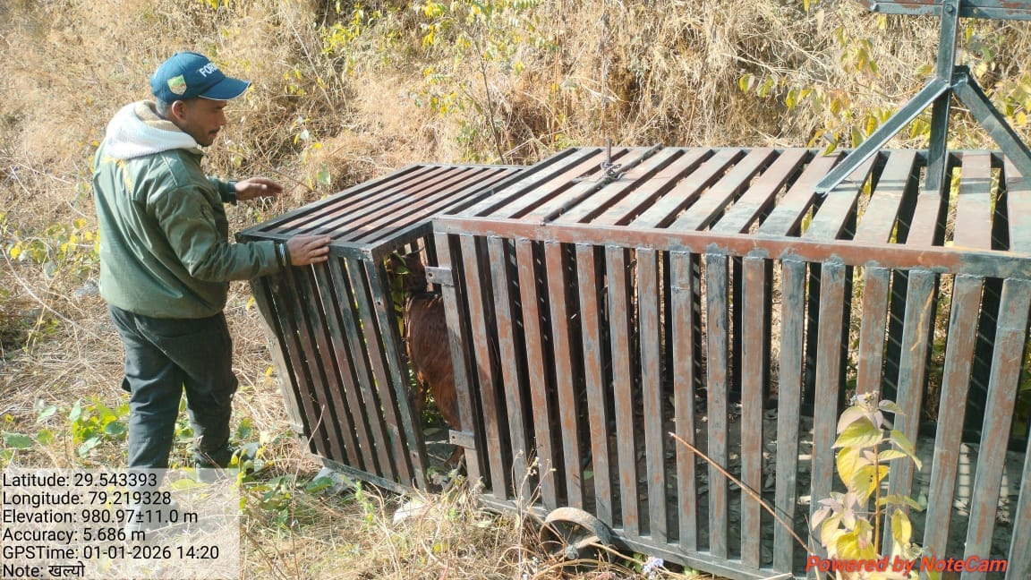 Bachuli is no more, please save us... Ramnagar Road blocked