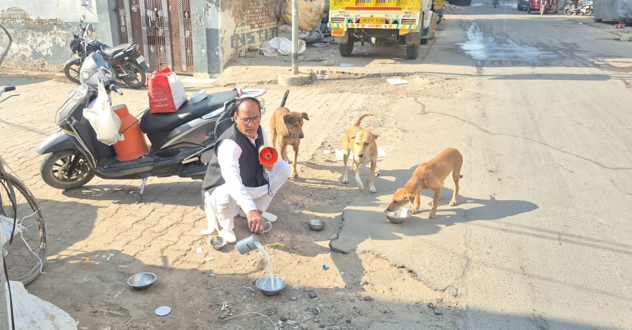 Surendra Soni has been providing daily food to stray animals for the last 20 years.