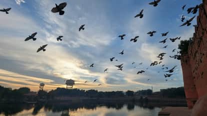 Weather Update: Severe Cold in Nagaur, 2026 Begins with Winter Rain and Dense Fog