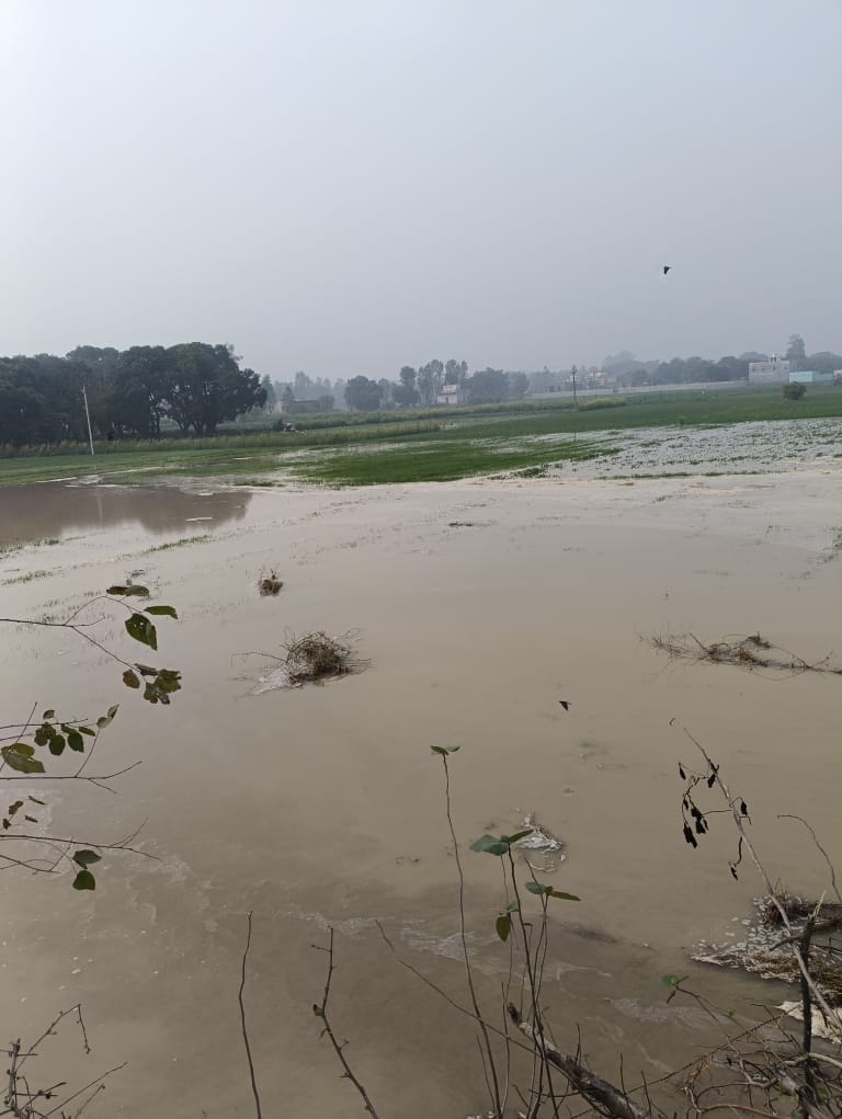 Crops of 25 farmers submerged due to breach in Itaunja canal