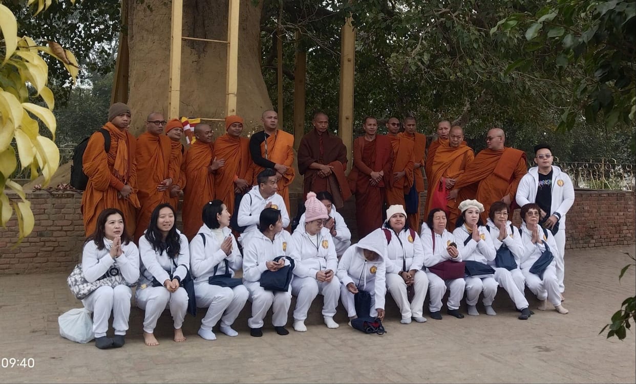 Followers worship the Bodhi tree