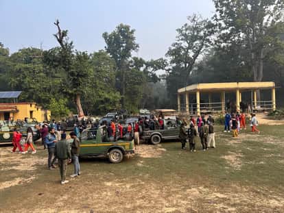 New Year celebrations amidst winter in Dudhwa