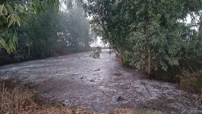 Smoke and ash from rice mills make life difficult for residents of Ward 12