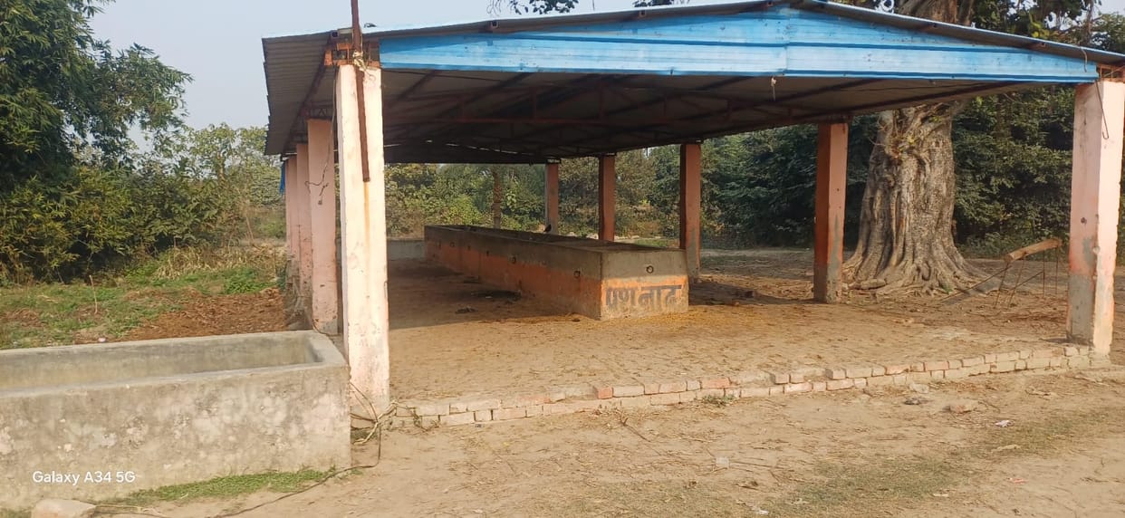 Operation of three cow shelters in Hansar stopped