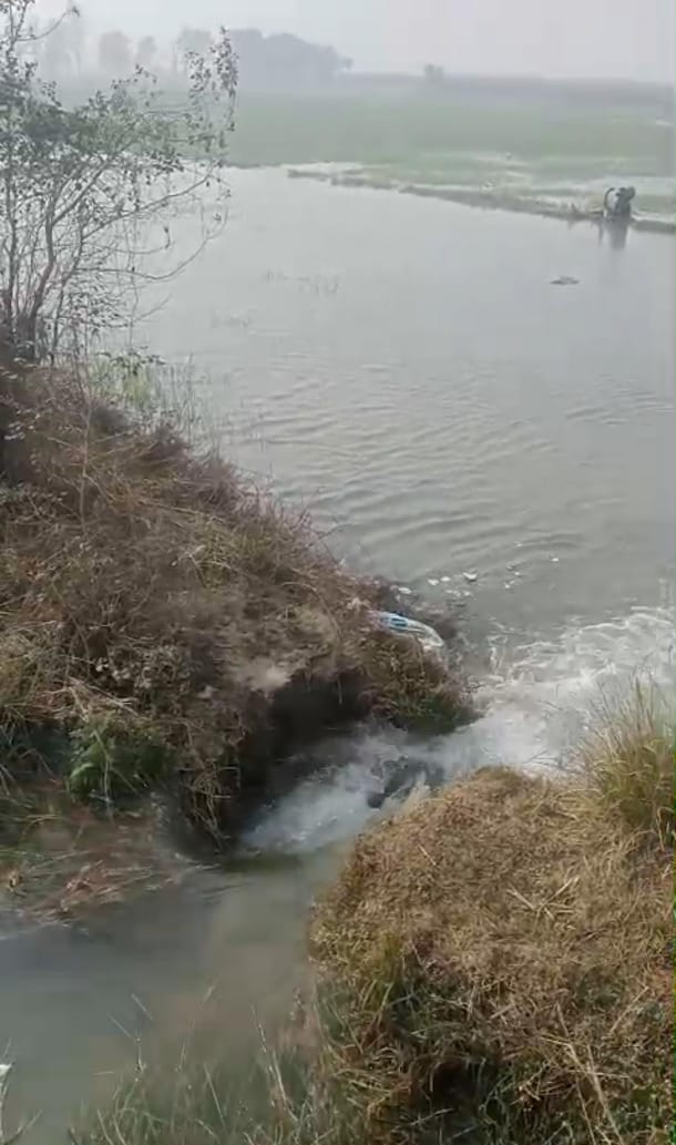 The canal breached in Chhapiya Chhithauna, flooding 30 bighas of wheat crop.