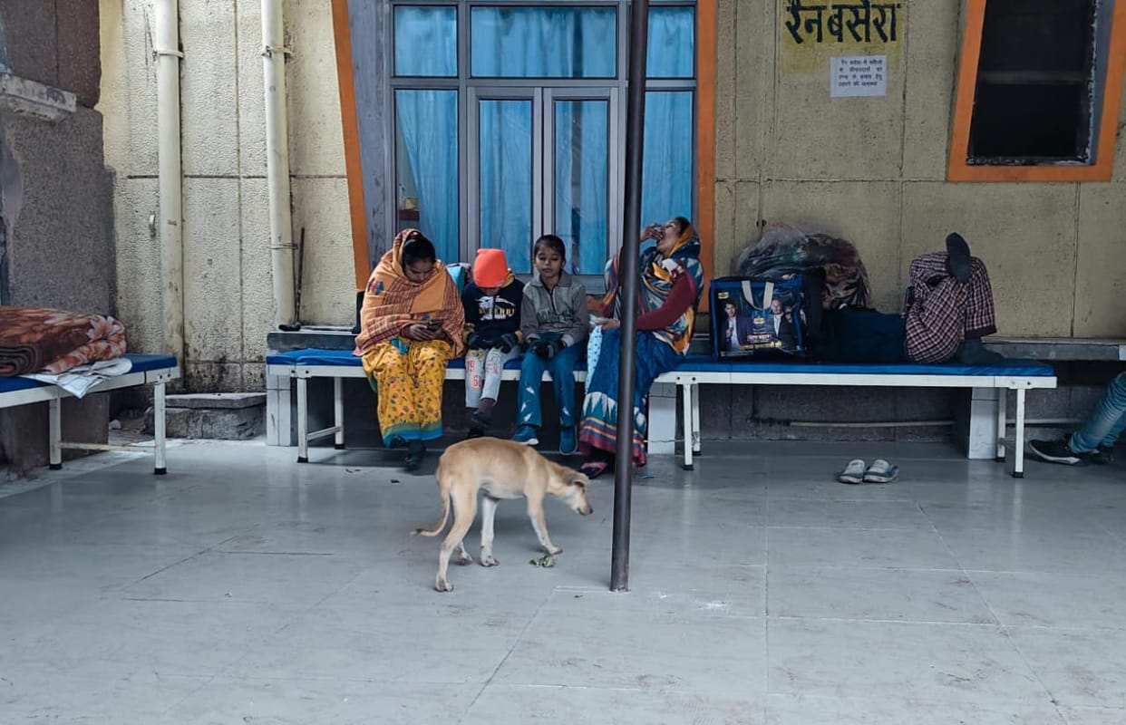 District Women's Hospital is not safe from stray dogs