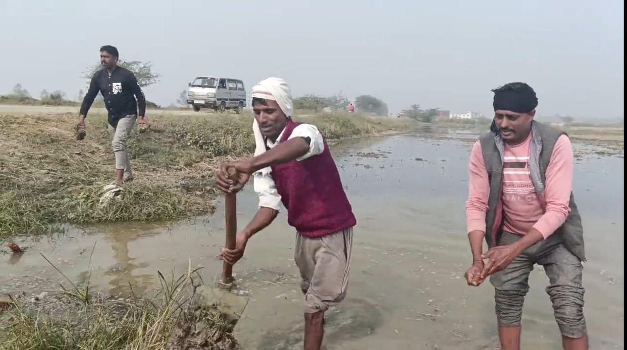Minor overflows due to lack of cleaning, 25 bighas of wheat crop submerged in Dona village