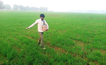 Kanpur land consolidation project becomes a problem 27000 farmers financial assistance stalled