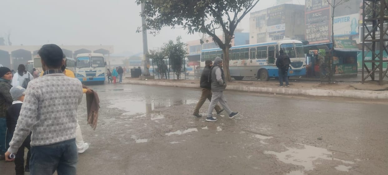 Rain welcomes New Year, cold wave intensifies chill, AQI 219
