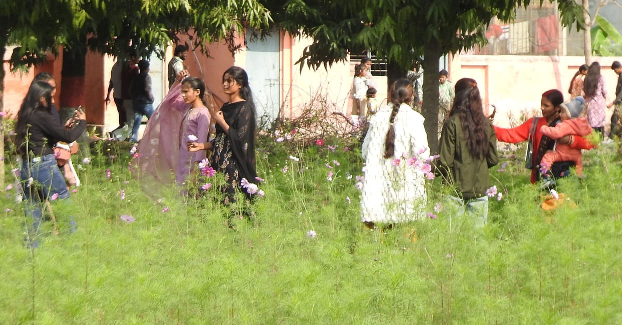 Siddharthnagar News: Weather cooperates, New Year's joy increases