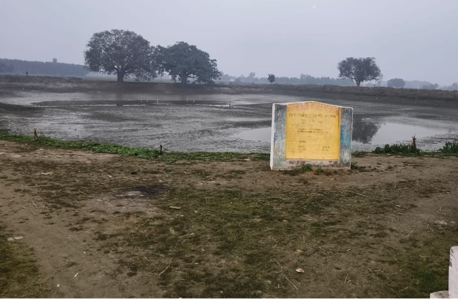 Negligence: Only soil excavation was carried out for three years.