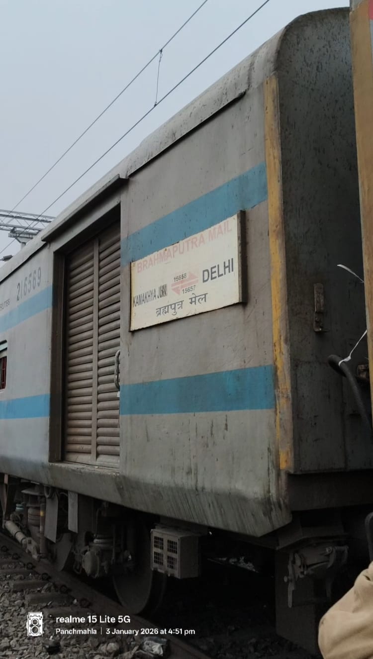 Bihar: दानापुर मंडल में हादसा, ट्रेन के पहियों में फंसी भैंस की मौत; अप लाइन पर डेढ़ घंटे ठप रहा परिचालन