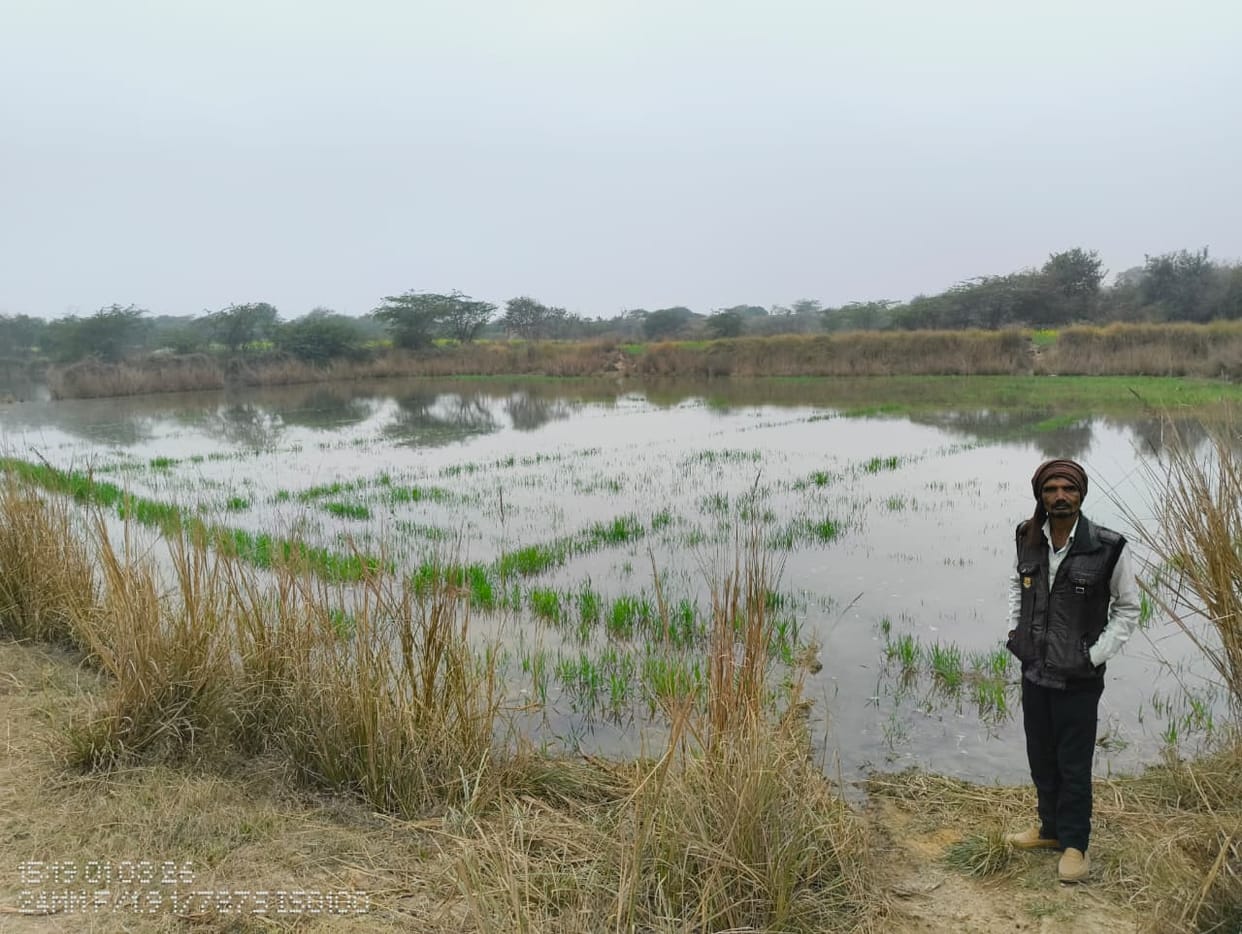 The water level in the Sengar River increased, submerging 20 bighas of wheat and bejhar crops.