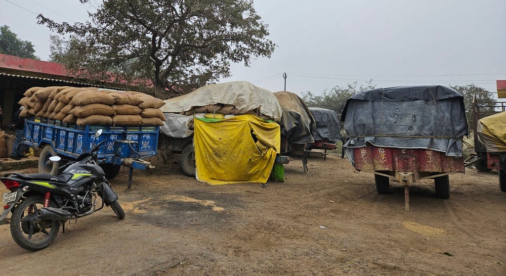 Sonebhadra Paddy-laden trolleys standing outside procurement centers for several days farmers waiting