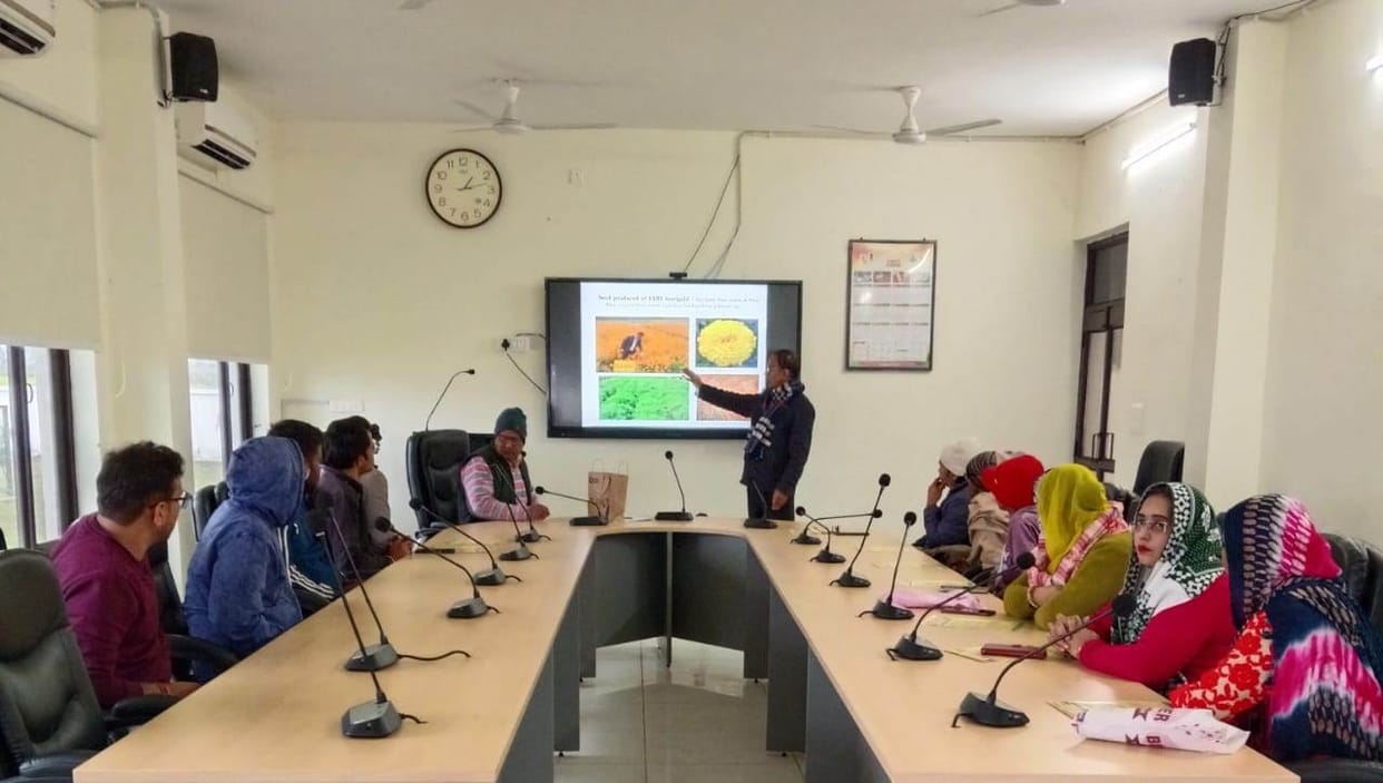 Farmers were given training on protected cultivation of marigolds and other flowers.