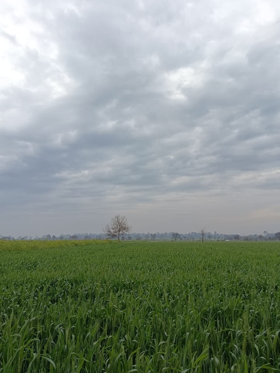 Weather changes, chill persists, waiting for sunshine