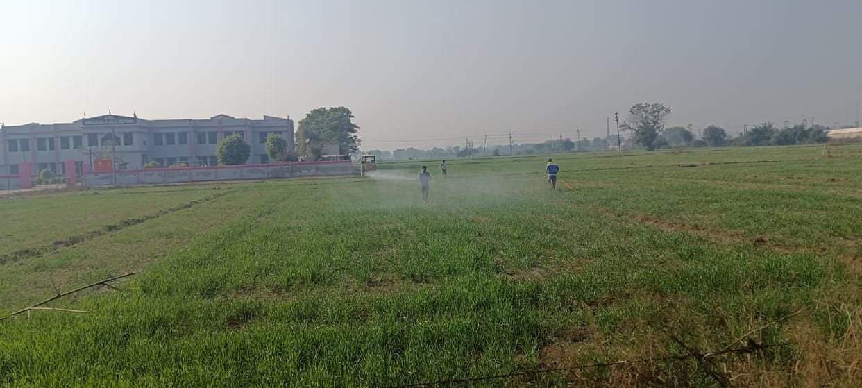 Growing cold is beneficial for crops, farmers started spraying weedicide