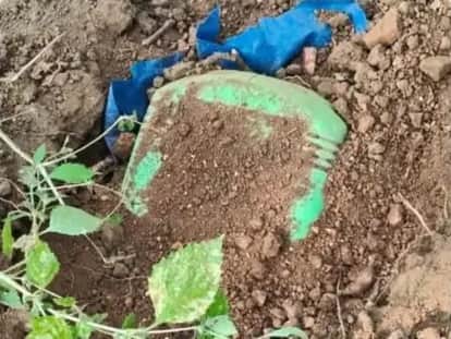 MP News: Naxalite explosives dump recovered in Balaghat