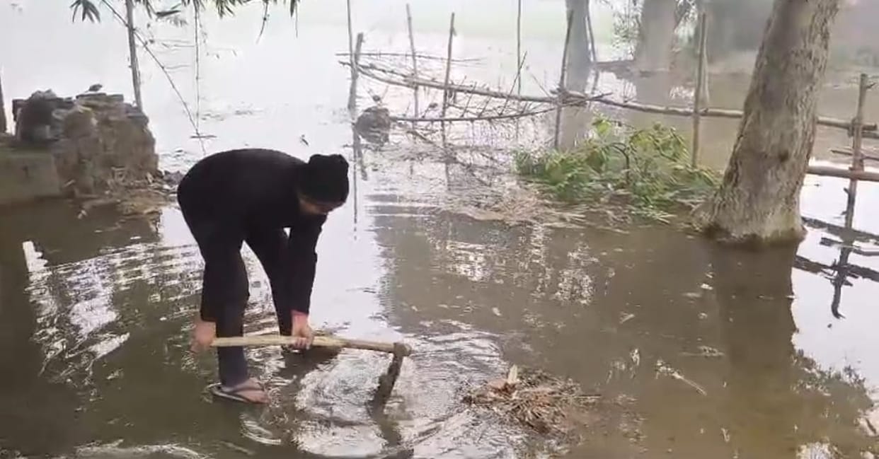 25 bigha crops submerged due to canal overflow