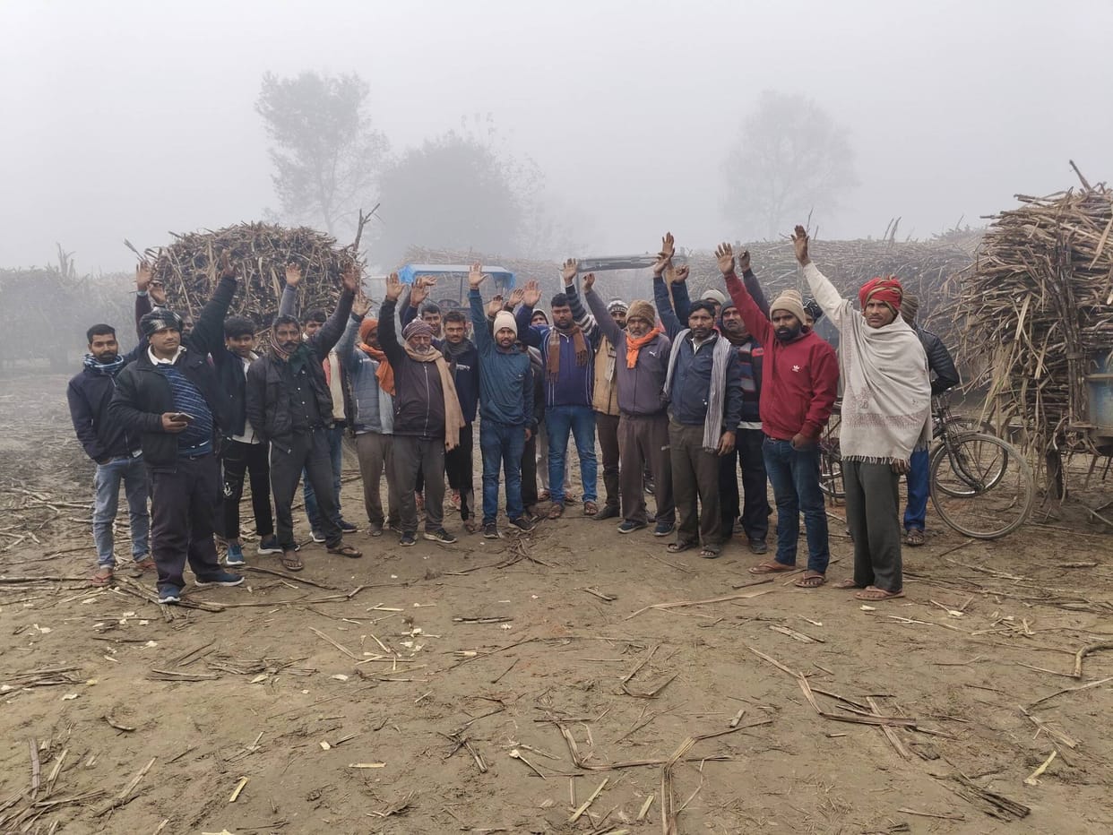 Allegations of failure to weigh sugarcane properly, protest ensues.