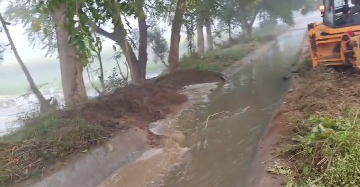 30 acres of crops submerged due to Balasamand minor breach, wheat and mustard crops damaged