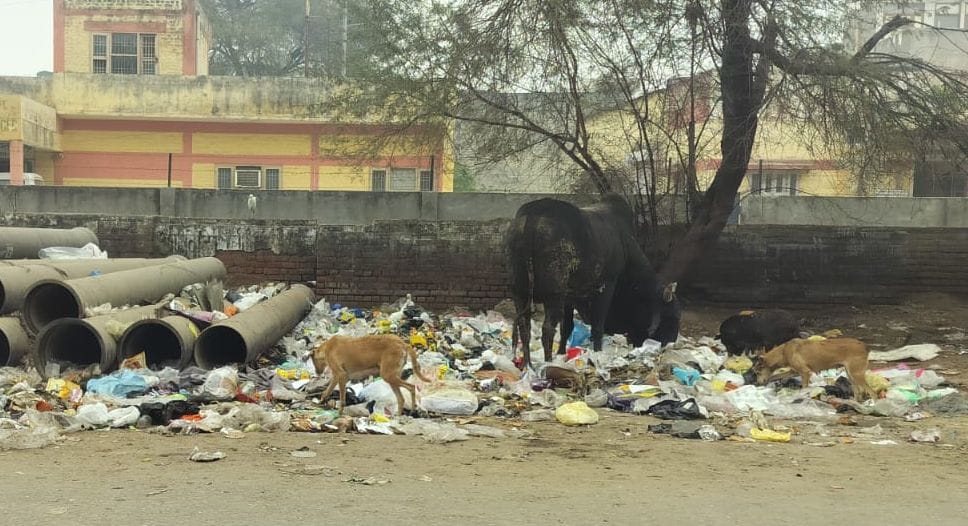 A pile of garbage in front of the Horticulture Department office