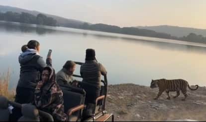 Indian badminton star Saina Nehwal is in Ranthambore