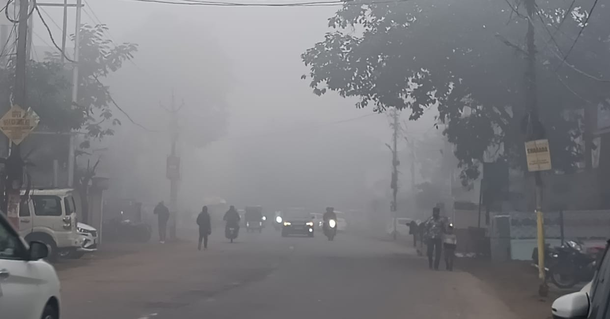 Dense fog until 11 o'clock, the westerly winds increased the sultriness