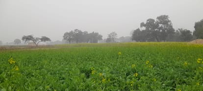 weak Western Disturbance is active over Haryana: Partially cloudy conditions will prevail until the 18th