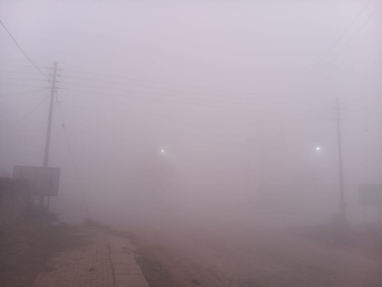 Avoid irrigation during fog, risk of fungal disease in wheat crop