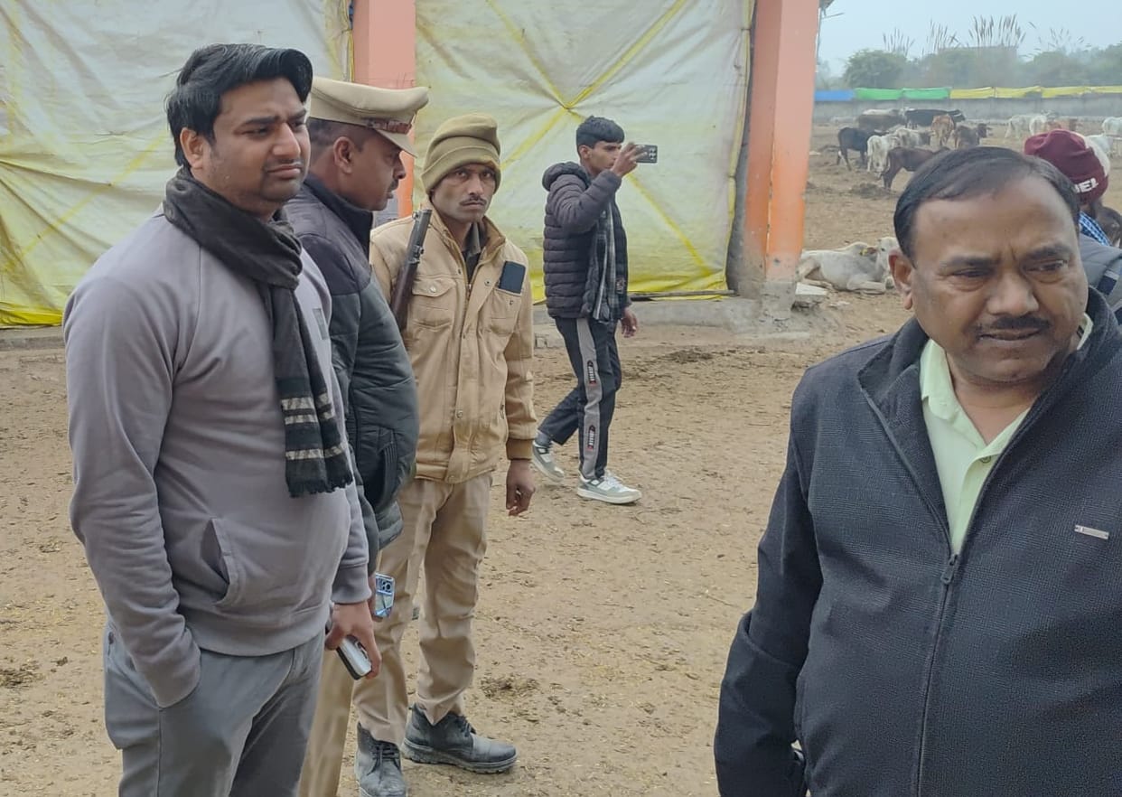 Dogs were digging up the remains of dead cattle, one suspended