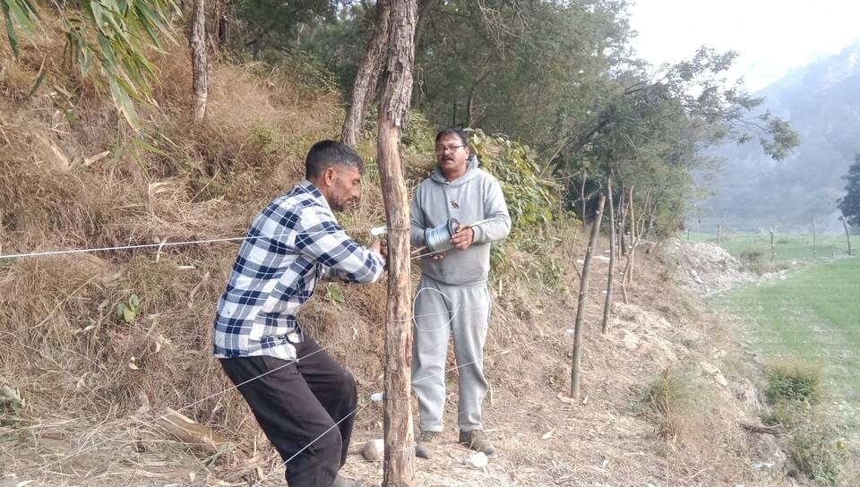 Animals threaten crops, farmers put up fencing to protect them