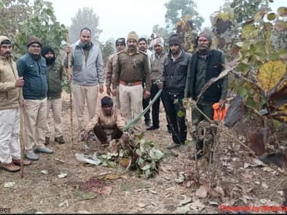 Sehore News: Nilgai brutally hunted in Ladkui forest range, two accused arrested.