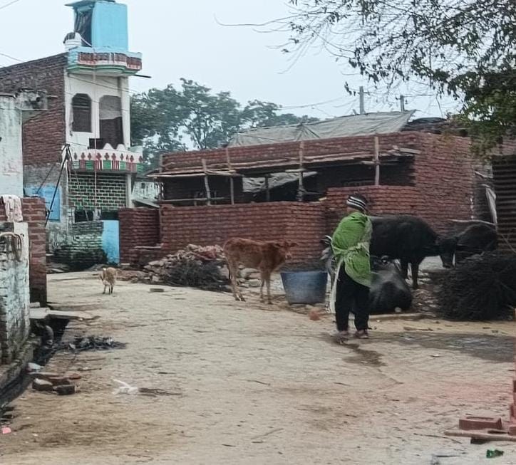 Deep sorrow over the death of Professor Shyam Bihari... a pall of silence hung over the village.