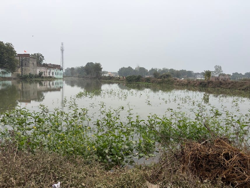 Rats burrowed, the embankment broke, and 12 bighas of crops were submerged.