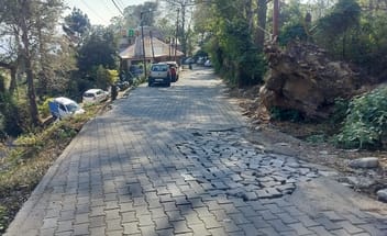 Even after three months, the stump was not removed, nor were the uprooted tiles repaired.