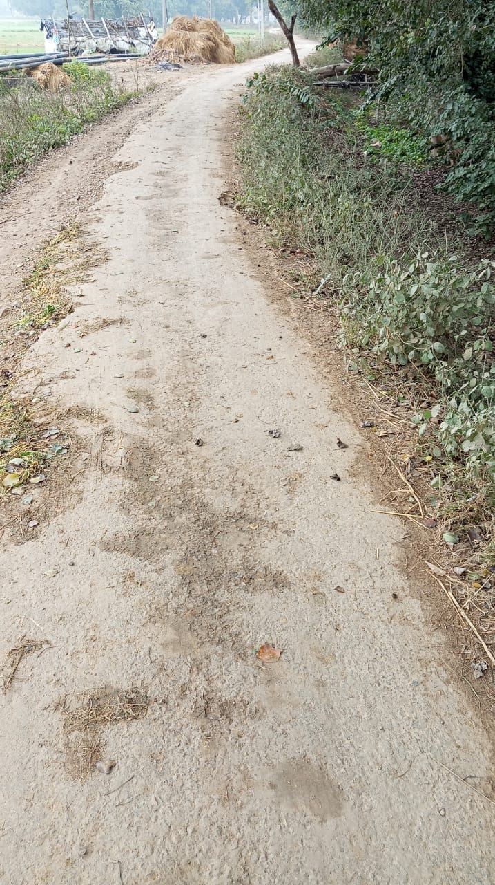 On the complaint of a handicapped person, the DM gave instructions for road construction