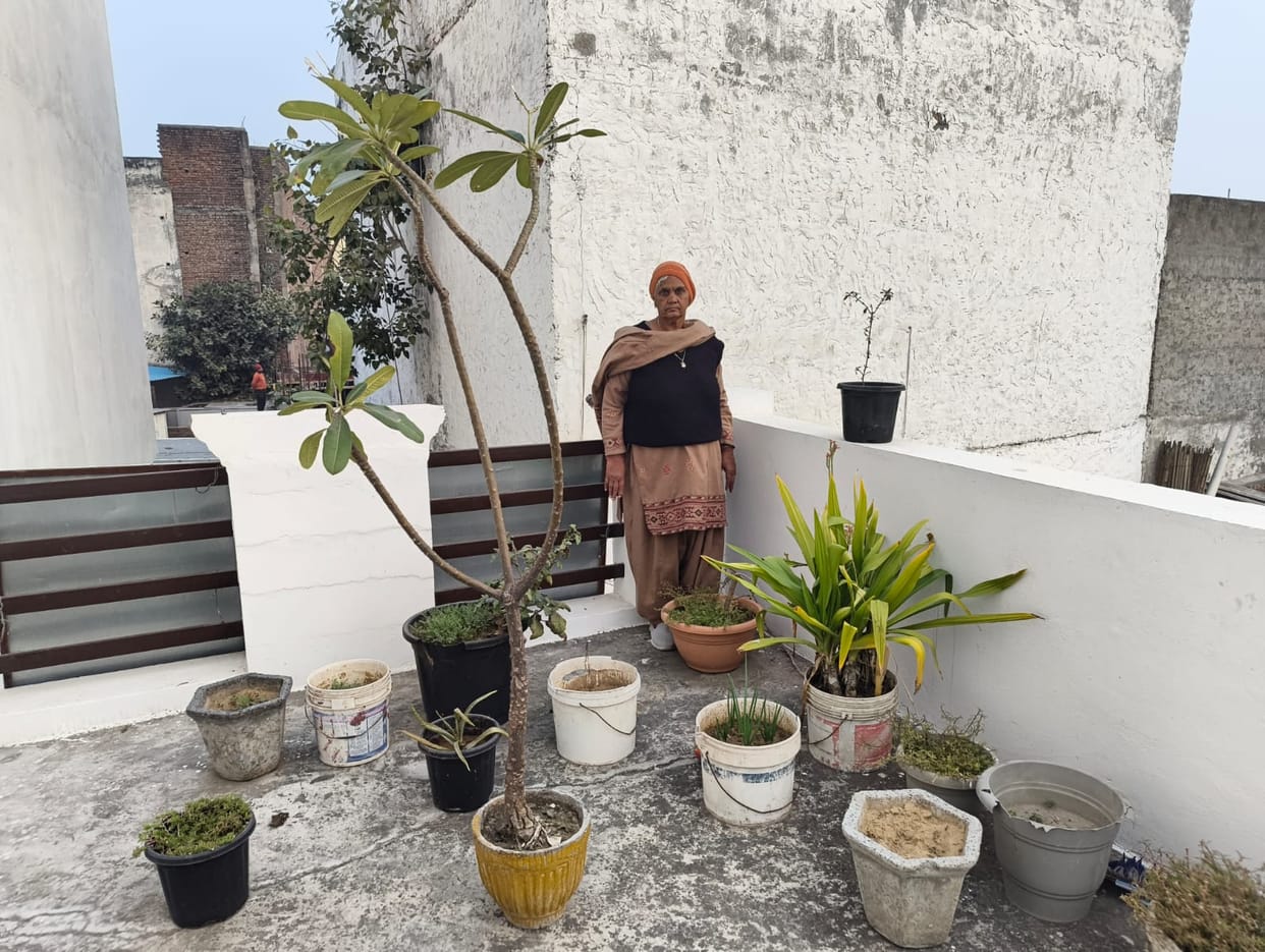 The garden of retired teacher Kalavati was fragrant with the scent of night-blooming jasmine and champak flowers.