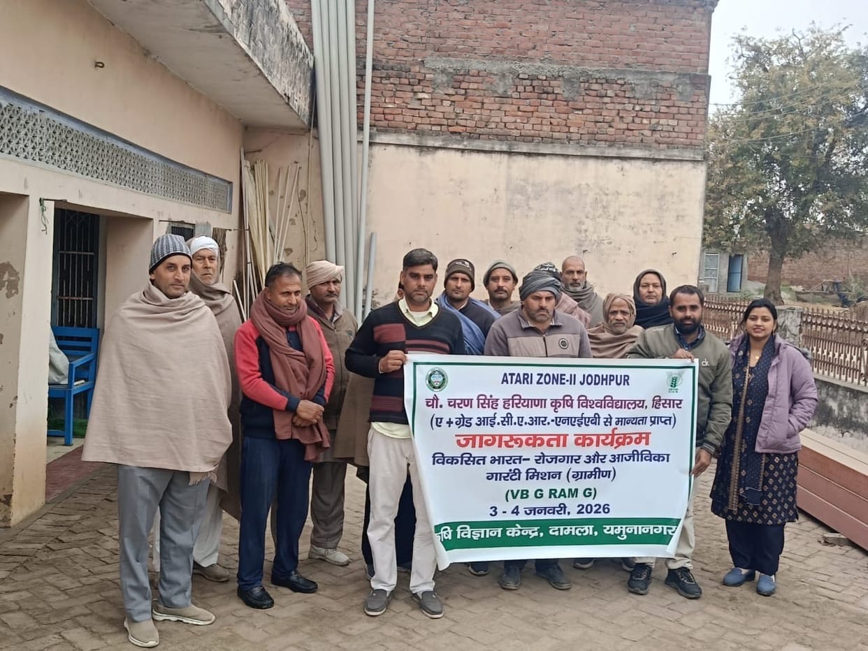 Information was provided about employment-oriented schemes