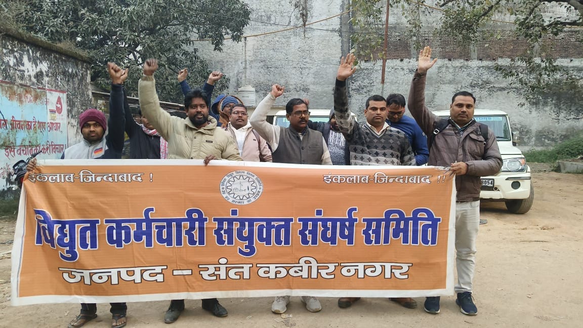 Electricity workers will go on strike on February 12 in protest against privatization.